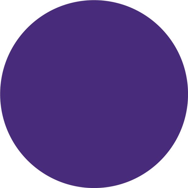 NIANSIRNO SREDSTVO JUB DIPI SUPER COLOR VIJOLIČNA 35 100 ML