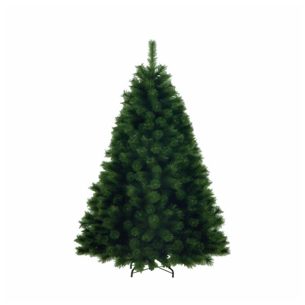 NOVOLETNA JELKA 155 CM HIGLAND FIR