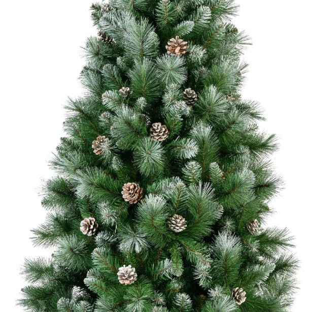NOVOLETNA JELKA 210 CM LEDENA S STORŽI NORWICH PINE
