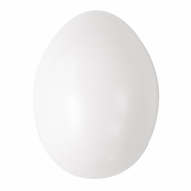 OBLIKE IZ UMETNE MASE RAYHER PLASTIČNA JAJCA 6CM BELA 10 KOSOV