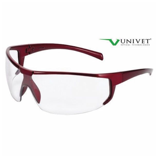 OČALA ZA DELO, PROSTI ČAS PROZORNA