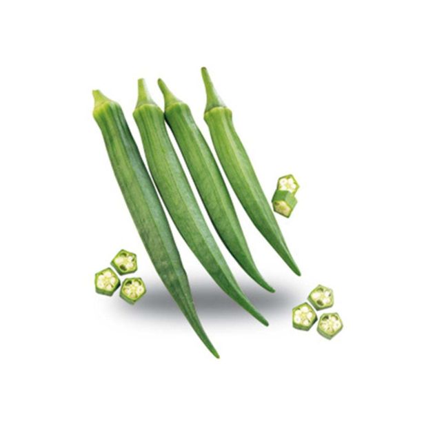 ZELENJAVNA SADIKA L'ORTO FRUTTIFERO OKRA 4/1 GOMBO KULTIPAK