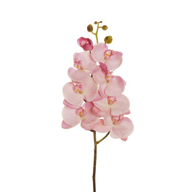 UMETNO CVETJE EVERGREENS ORHIDEJA SV.ROZA