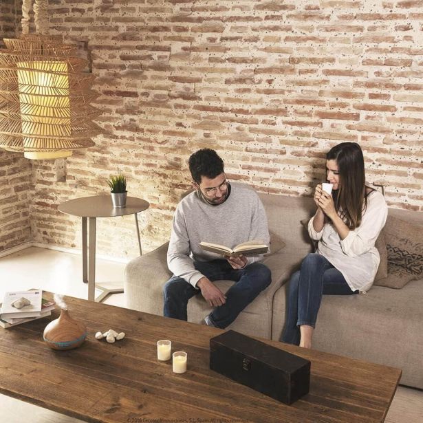 OSVEŽILNIK ZRAKA CECOTEC PURE AROMA 300 YANG