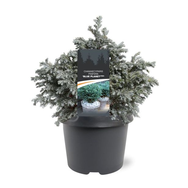 PACIPRESA GRAHASTA BLUE PLANET L19