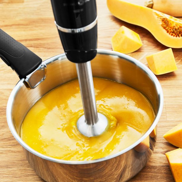 PALIČNI MEŠALNIK TEFAL HB94L830