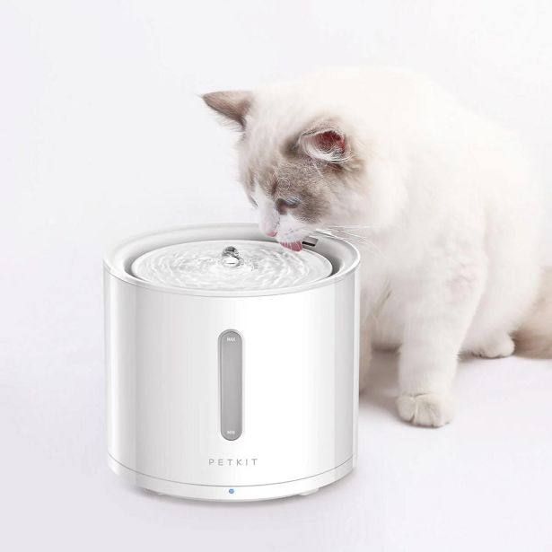 PAMETNA VODNA FONTANA, ZA PSE / MAČKE PETKIT EWERSWEET SOLO 2