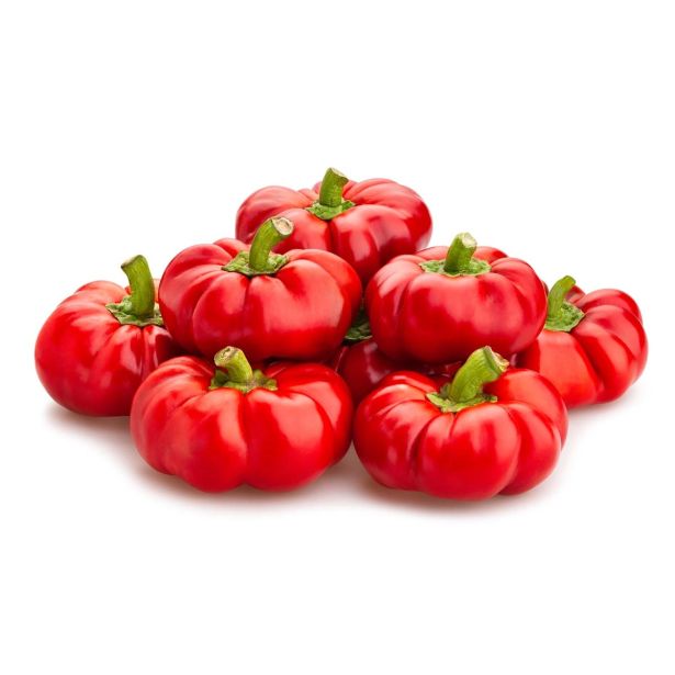PLODOVKE L'ORTO FRUTTIFERO PAPRIKA POLNJENJE 4/1 TOPEPO ROSSO KULTIPAK