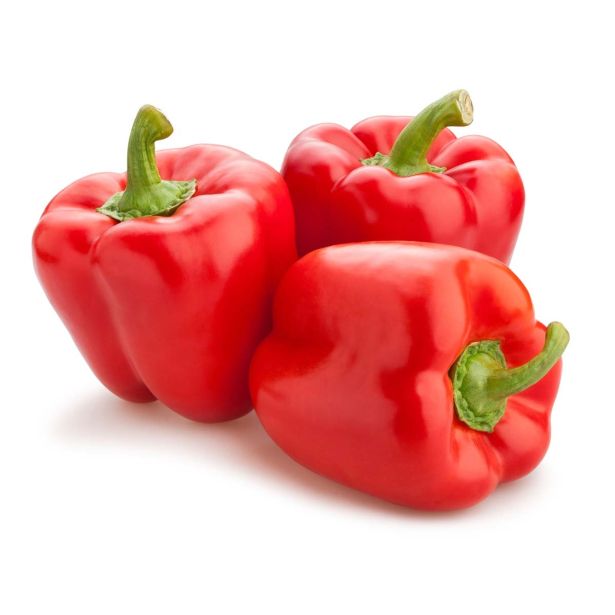 PLODOVKE L'ORTO FRUTTIFERO PAPRIKA RDEČA 4/1 CUNEO ROSSO KULTIPAK