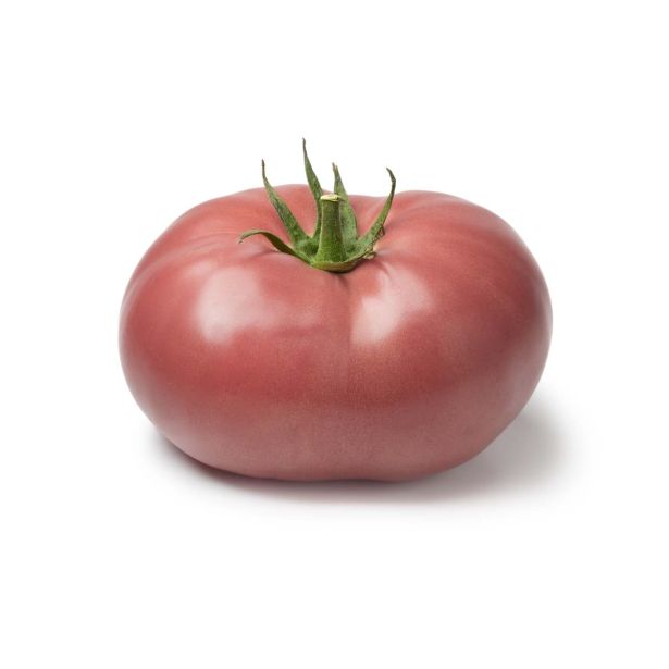 PLODOVKE L'ORTO FRUTTIFERO PARADIŽNIK 1/1 CANAVESE L10