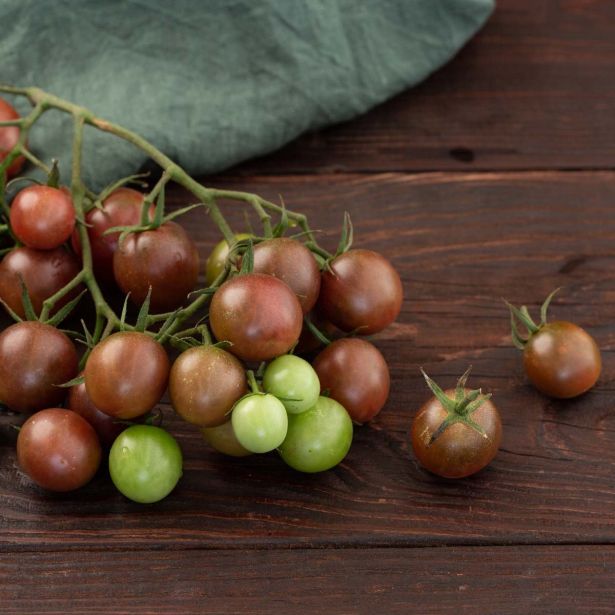 PLODOVKE L'ORTO FRUTTIFERO PARADIŽNIK 1/1 CHOCOLATE CHERRY L10