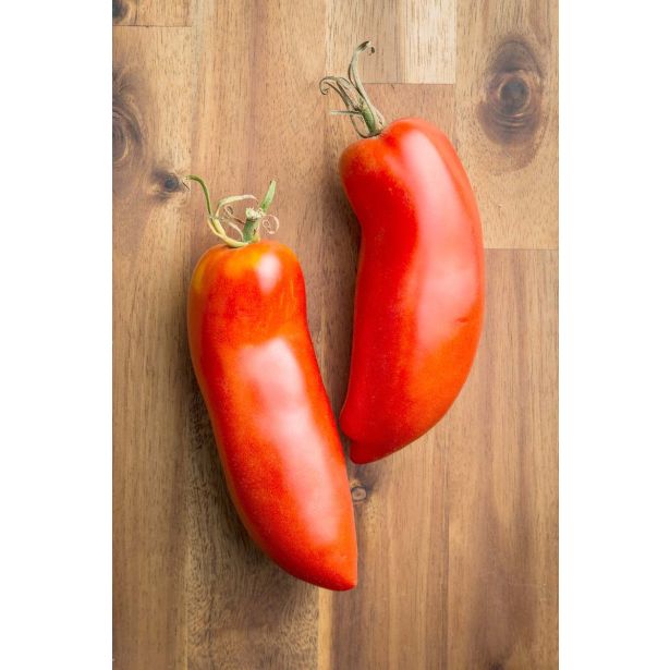 PLODOVKE L'ORTO FRUTTIFERO PARADIŽNIK 1/1 CORNO DI MARZANO L10