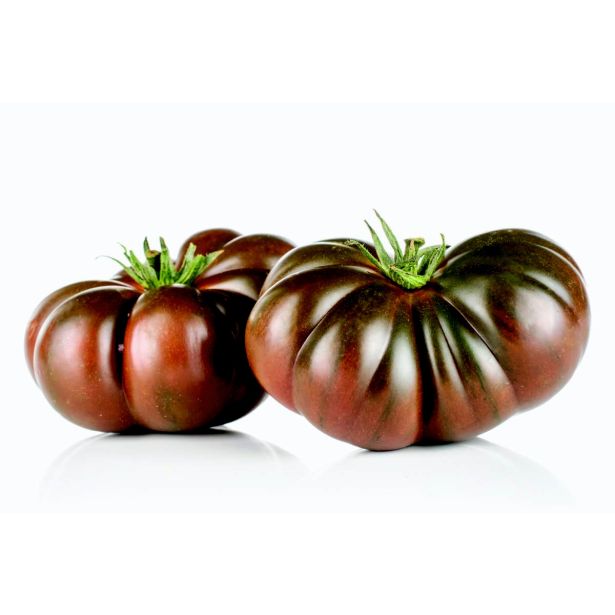 PLODOVKE L'ORTO FRUTTIFERO PARADIŽNIK 1/1 COSTOLUTO BLU F1 L10