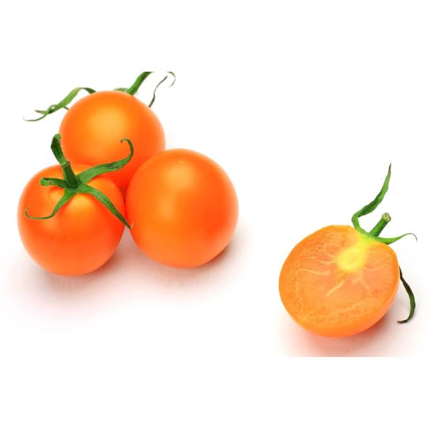 PLODOVKE L'ORTO FRUTTIFERO PARADIŽNIK 1/1 SUN SUGAR F1 L10