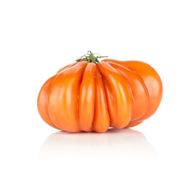 PLODOVKE L'ORTO FRUTTIFERO CEPLJEN PARADIŽNIK 1/1 PERBRUZZO L14