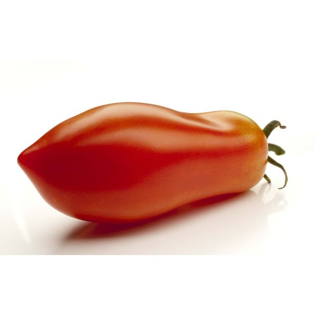 PLODOVKE L'ORTO FRUTTIFERO PARADIŽNIK 4/1 SCATOLONE 3 KULTIPAK