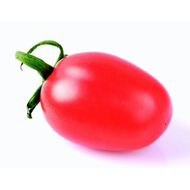 PLODOVKE L'ORTO FRUTTIFERO PARADIŽNIK 4/1 SUOCERA KULTIPAK