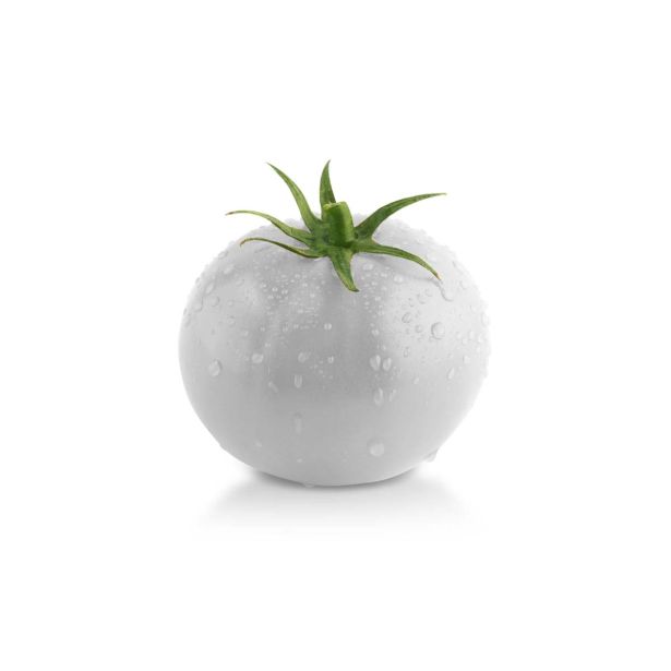 PLODOVKE L'ORTO FRUTTIFERO PARADIŽNIK COCKTAIL BEL 1 CHERRY BIANCO L10