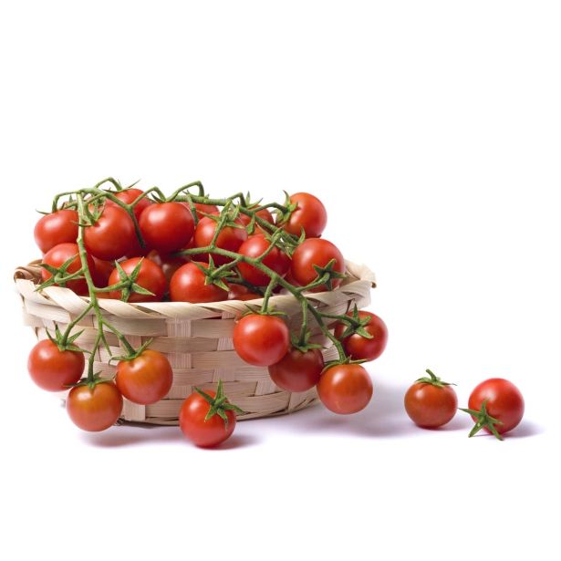 PLODOVKE L'ORTO FRUTTIFERO PARADIŽNIK NIZEK MINI 4/1 STROMBOLINO KULTIPAK