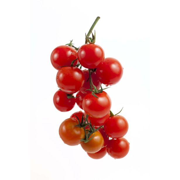 PLODOVKE L'ORTO FRUTTIFERO PARADIŽNIK OBEŠANKA 1/1 PRINCIPE BORGHESE L10