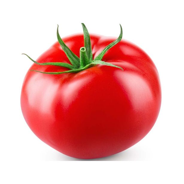 PLODOVKE CEPLJEN PARADIŽNIK 1/1 DON PAKO F1 L14