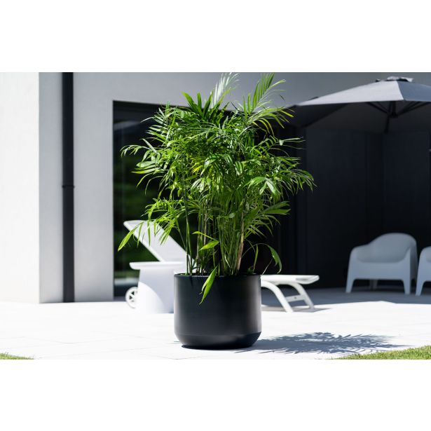 PE ZUNANJI LONEC PROSPERPLAST HEOS ANTRACIT 298X298X280 MM