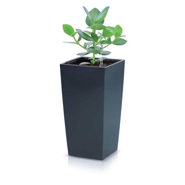 PE ZUNANJI LONEC PROSPERPLAST URBI KVADRATEN ANTRACIT 295X295X550 MM