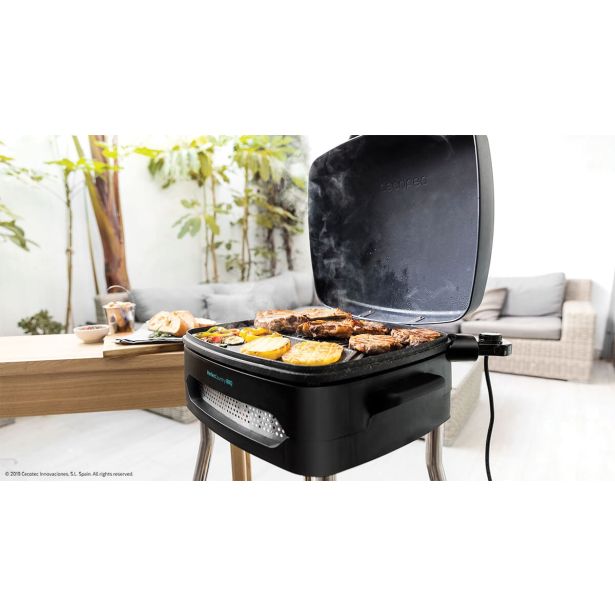 NAMIZNI ŽAR CECOTEC PERFECT COUNTRY BBQ S STOJALOM