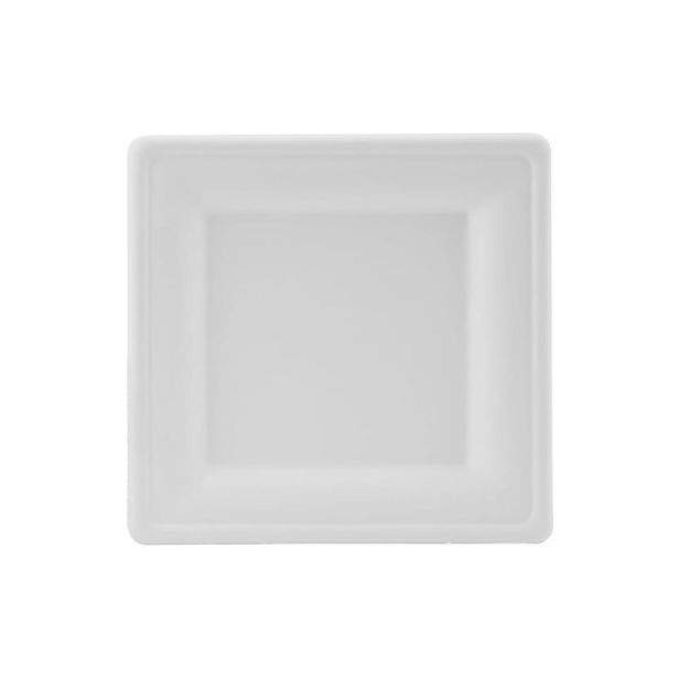 PIKNIK PROGRAM KROŽNIK IZ SLADKORNEGA TRSA 20X20CM 50/1