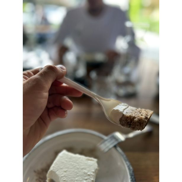 PIKNIK PROGRAM PLASTIČNA ČAJNA ŽLIČKA PP MULTI-USE 50/1