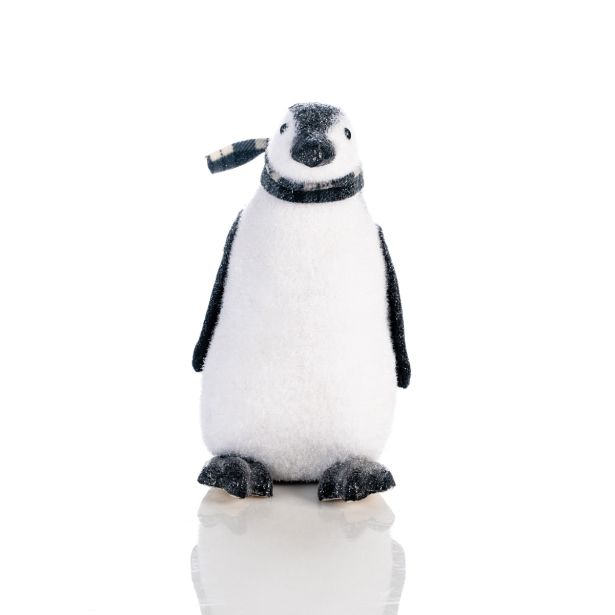 PINGVIN 31 CM