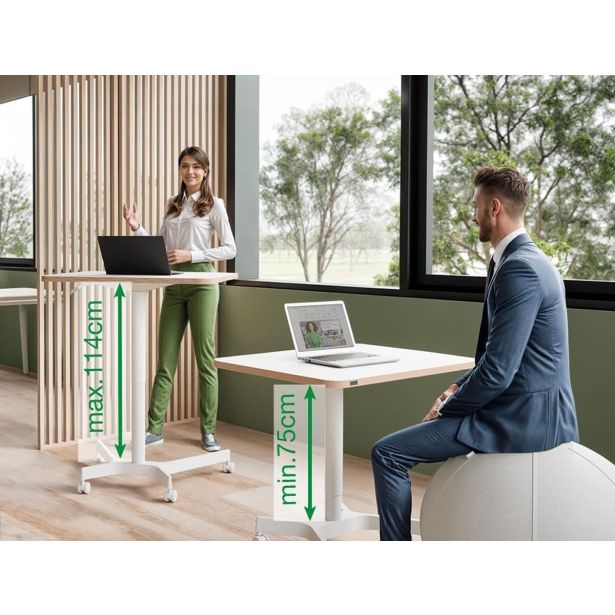 PISALNA MIZA LEITZ COSY-WOW ERGO 80X60CM DVIŽNA BELA NA KOLEŠČKIH