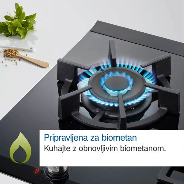 PLINSKA KUHALNA PLOŠČA BOSCH PRS9A6H40