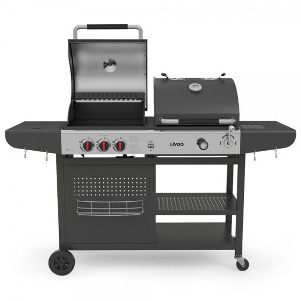 PLINSKI ŽAR IN ŽAR NA OGLJE LIVOO DOC254