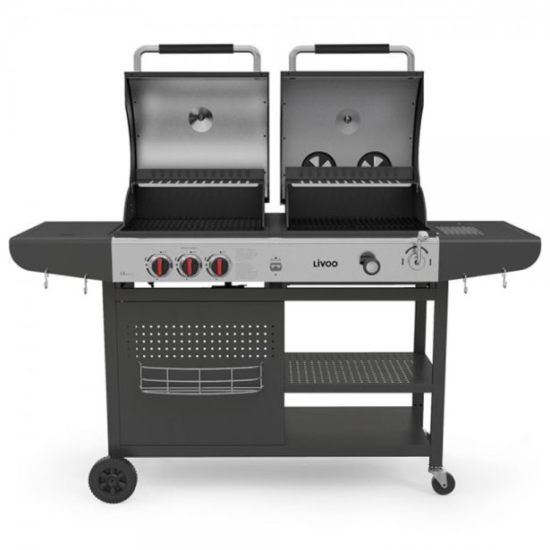 PLINSKI ŽAR IN ŽAR NA OGLJE LIVOO DOC254