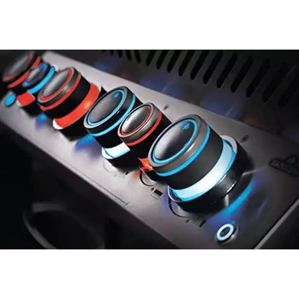 PLINSKI ŽAR NAPOLEON P500RSIBPSS-3-SI