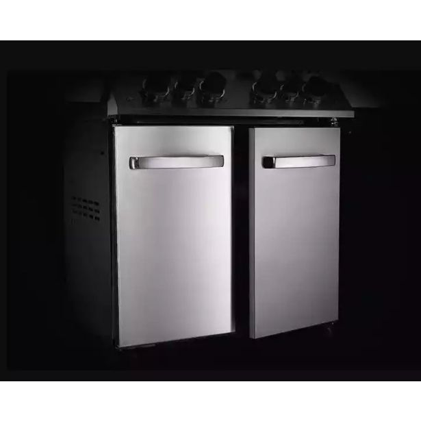 PLINSKI ŽAR NAPOLEON P500RSIBPSS-3-SI