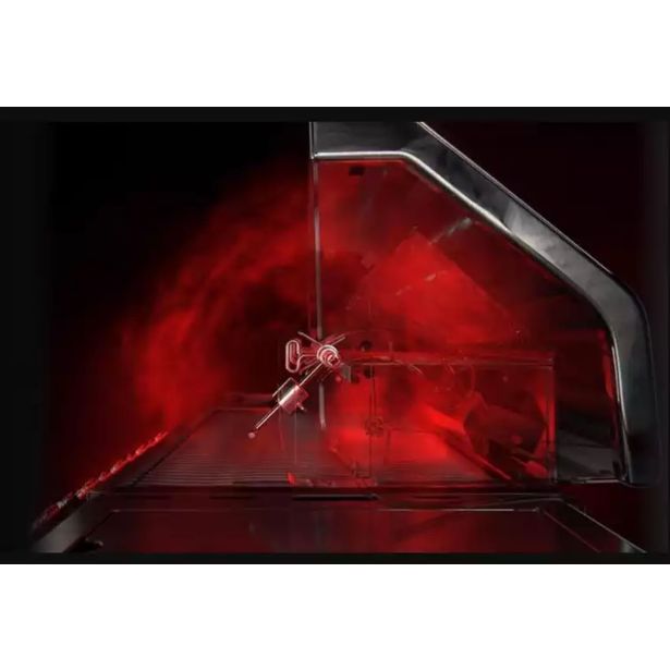 PLINSKI ŽAR NAPOLEON P500RSIBPSS-3-SI