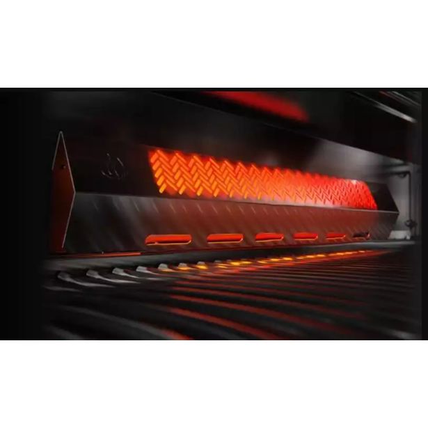 PLINSKI ŽAR NAPOLEON P500RSIBPSS-3-SI