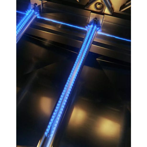 PLINSKI ŽAR NAPOLEON P500RSIBPSS-3-SI