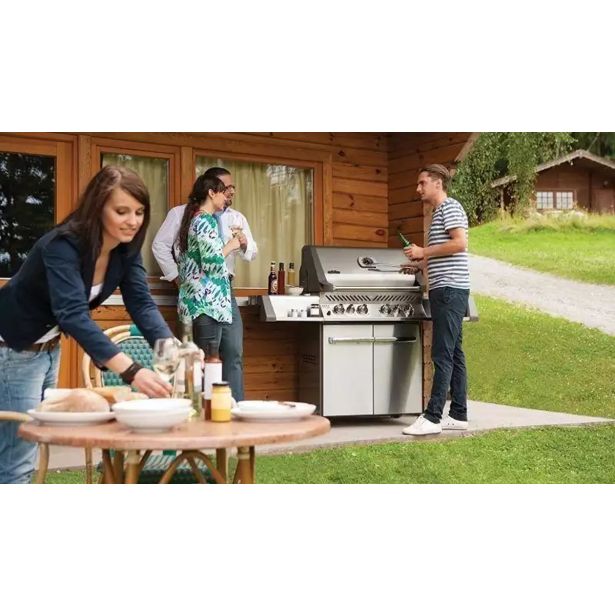 PLINSKI ŽAR NAPOLEON P500RSIBPSS-3-SI