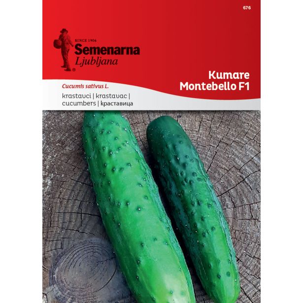 PLODOVKA SEMENARNA KUMARE MONTEBELLO F1 676