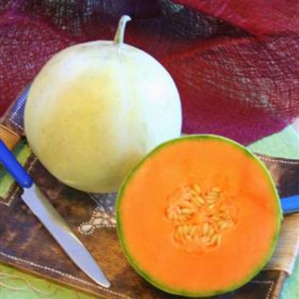 PLODOVKE DOBRO & ZDRAVO RUMENA MELONA