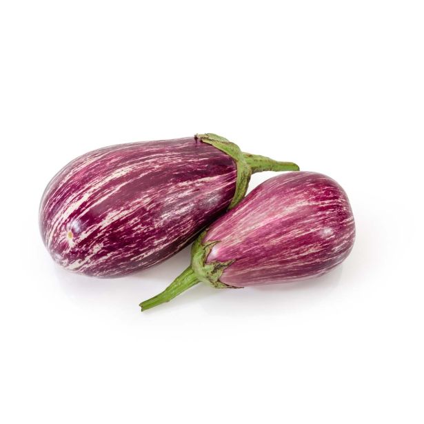 PLODOVKE L'ORTO FRUTTIFERO JAJČEVEC BELI 1/1 RANIA F1 L10