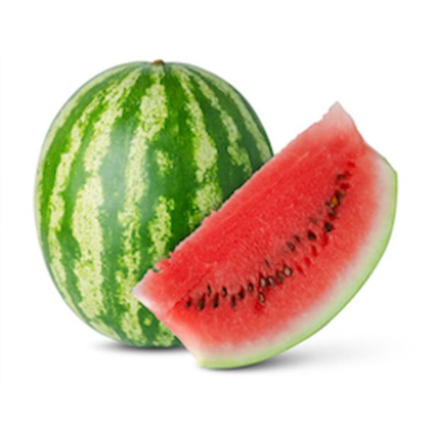 PLODOVKE LUBENICE L10 CM