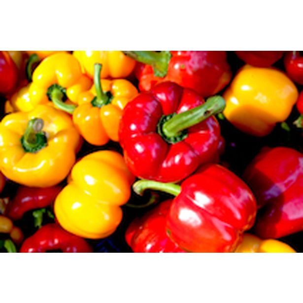 PLODOVKE PAPRIKA PARADIŽNIK 4 KOS