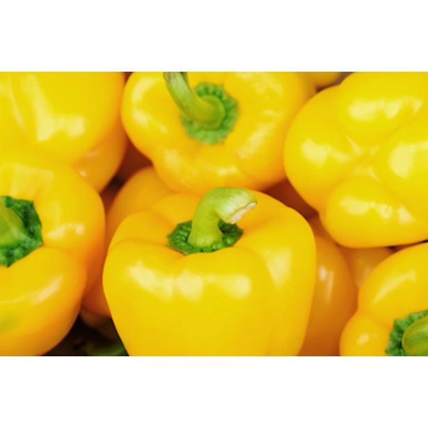 PLODOVKE PAPRIKA RUMENA L10 CM