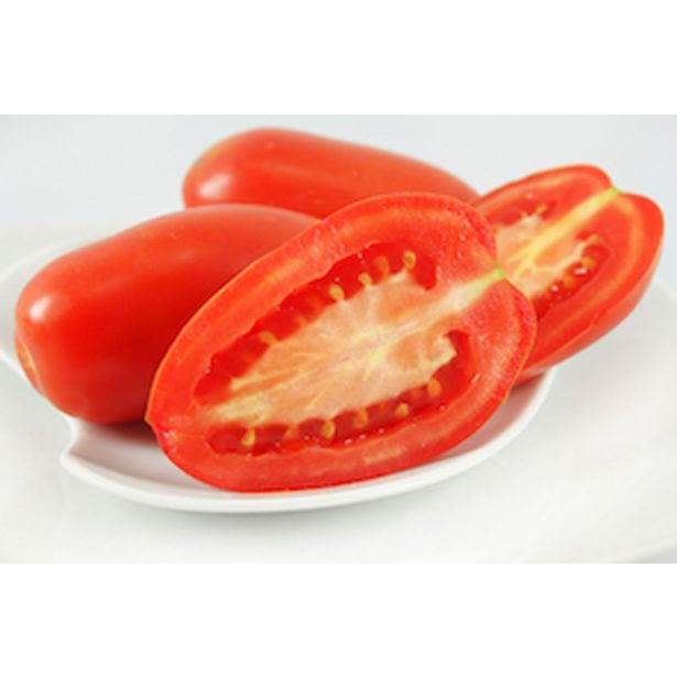 PLODOVKE PARADIŽNIK PELAT 4 KOS