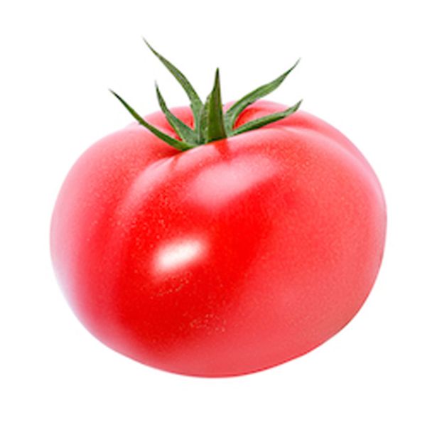 PLODOVKE PARADIŽNIK ZGODNJI 4 KOS