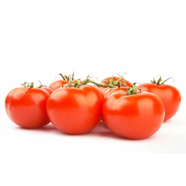 PLODOVKE PARADIŽNIK ZGODNJI L10 CM